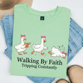 Walking in Faith Tripping